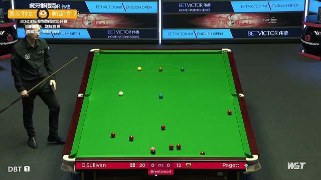 的观赏性 的观赏性