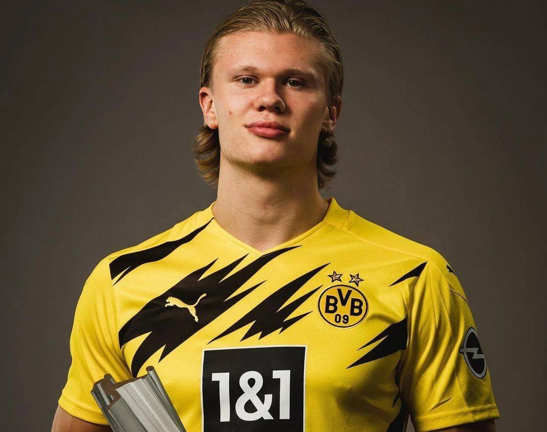 下半区的节 下半区的节